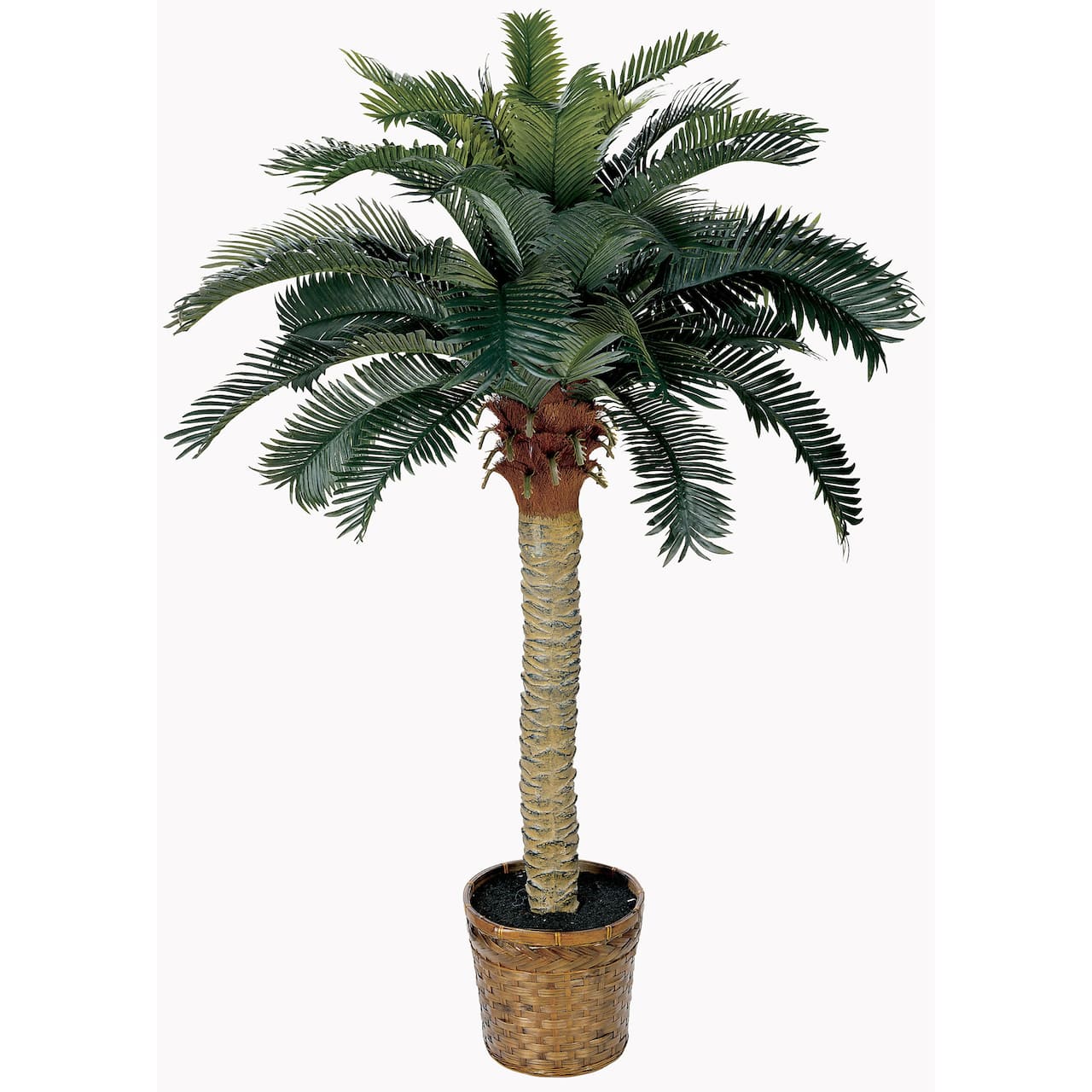4ft. Sago Silk Palm Tree in Wicker Basket Pot
